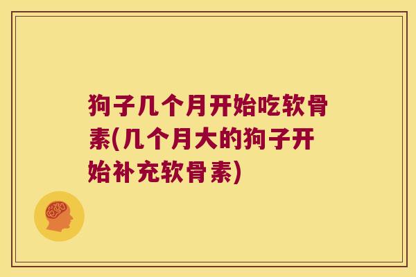 狗子几个月开始吃软骨素(几个月大的狗子开始补充软骨素) 狗子几个月开始吃软骨素(几个月大的狗子开始补充软骨素)