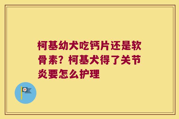 柯基幼犬吃钙片还是软骨素?柯基犬得了要怎么护理 柯基幼犬吃钙片还是软骨素?柯基犬得了要怎么护理