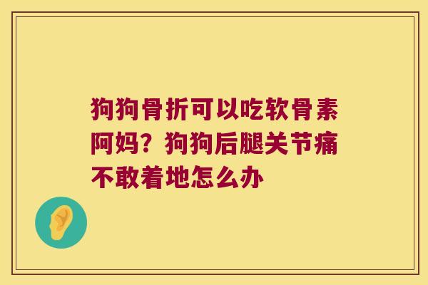 狗狗可以吃软骨素阿妈?狗狗后腿关节痛不敢着地怎么办 狗狗可以吃软骨素阿妈?狗狗后腿关节痛不敢着地怎么办