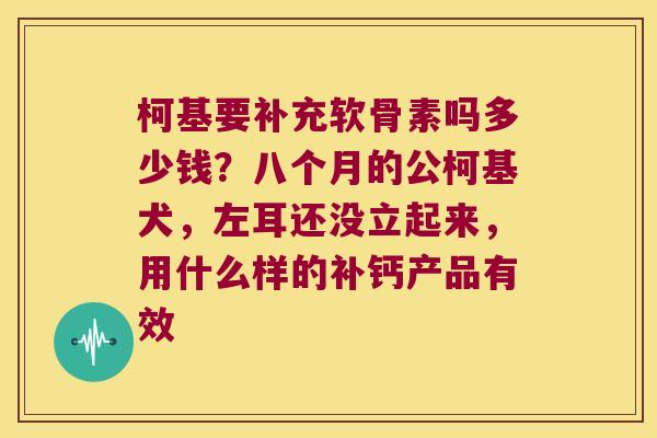柯基要补充软骨素吗多少钱?八个月的公柯基犬,左耳还没立起来,用什么样的补钙产品有效 柯基要补充软骨素吗多少钱?八个月的公柯基犬,左耳还没立起来,用什么样的补钙产品有效