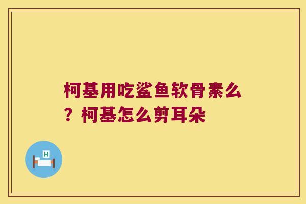柯基用吃鲨鱼软骨素么?柯基怎么剪耳朵 柯基用吃鲨鱼软骨素么?柯基怎么剪耳朵