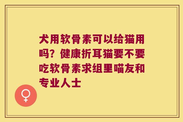 犬用软骨素可以给猫用吗？健康折耳猫要不要吃软骨素求组里喵友和专业人士