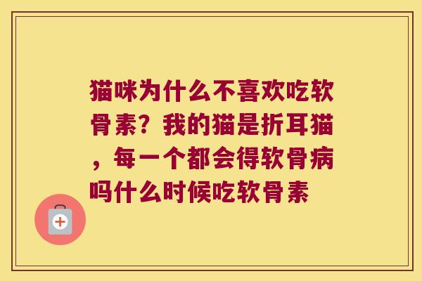 猫咪为什么不喜欢吃软骨素？我的猫是折耳猫，每一个都会得软骨吗什么时候吃软骨素