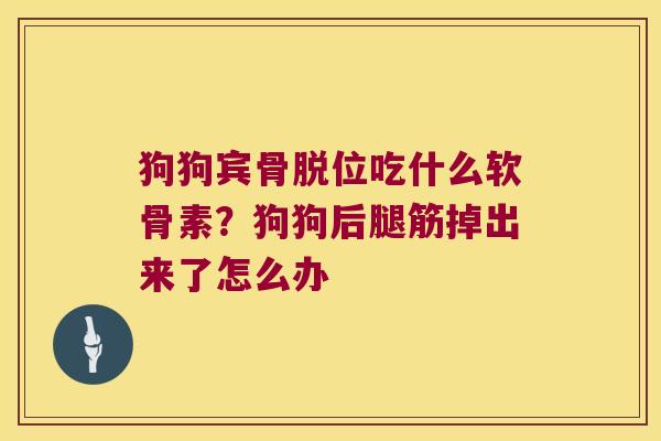 狗狗宾骨脱位吃什么软骨素?狗狗后腿筋掉出来了怎么办 狗狗宾骨脱位吃什么软骨素?狗狗后腿筋掉出来了怎么办
