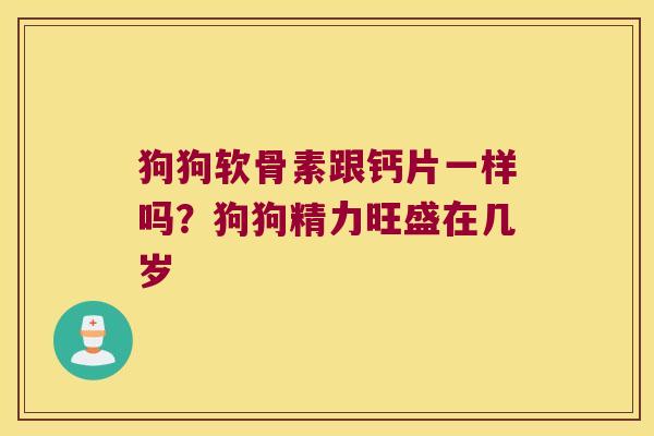 狗狗软骨素跟钙片一样吗?狗狗精力旺盛在几岁 狗狗软骨素跟钙片一样吗?狗狗精力旺盛在几岁