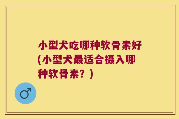小型犬吃哪种软骨素好(小型犬适合摄入哪种软骨素?) 小型犬吃哪种软骨素好(小型犬适合摄入哪种软骨素?)