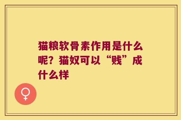 猫粮软骨素作用是什么呢？猫奴可以“贱”成什么样