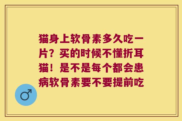 猫身上软骨素多久吃一片？买的时候不懂折耳猫！是不是每个都会患软骨素要不要提前吃