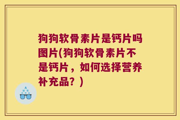 狗狗软骨素片是钙片吗图片(狗狗软骨素片不是钙片，如何选择营养补充品？)