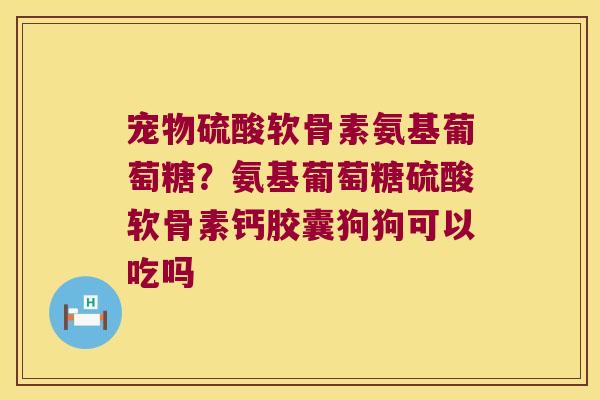 宠物硫酸软骨素氨基葡萄糖？氨基葡萄糖硫酸软骨素钙胶囊狗狗可以吃吗