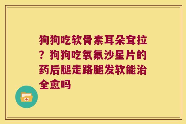 狗狗吃软骨素耳朵耷拉?狗狗吃氧氟沙星片的药后腿走路腿发软能全愈吗 狗狗吃软骨素耳朵耷拉?狗狗吃氧氟沙星片的药后腿走路腿发软能全愈吗