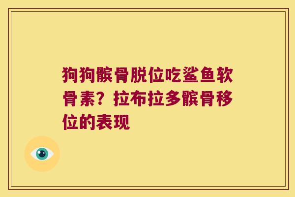 狗狗髌骨脱位吃鲨鱼软骨素？拉布拉多髌骨移位的表现