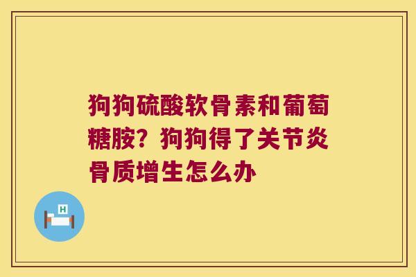 狗狗硫酸软骨素和葡萄糖胺？狗狗得了怎么办