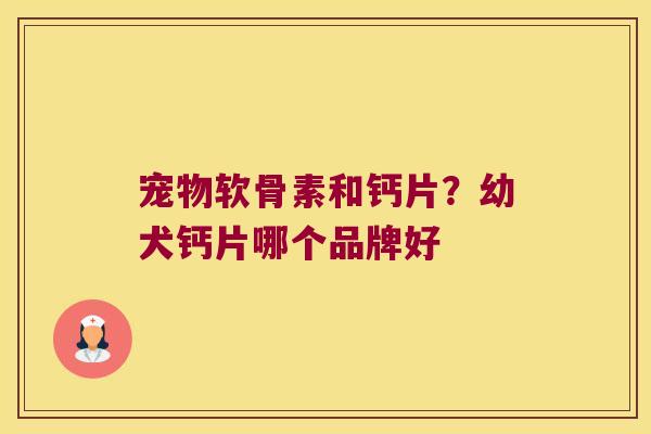 宠物软骨素和钙片?幼犬钙片哪个品牌好 宠物软骨素和钙片?幼犬钙片哪个品牌好