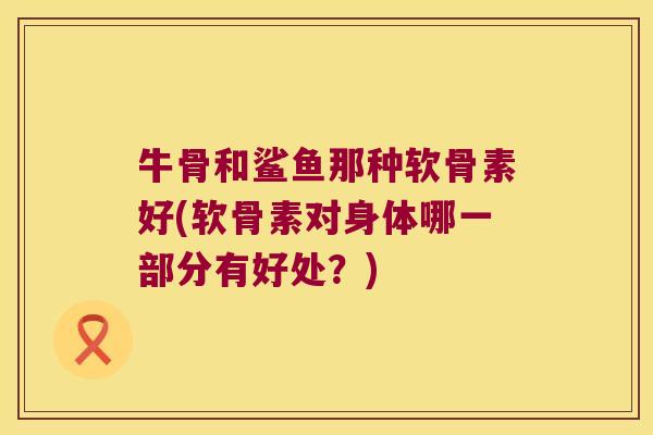 牛骨和鲨鱼那种软骨素好(软骨素对身体哪一部分有好处?) 牛骨和鲨鱼那种软骨素好(软骨素对身体哪一部分有好处?)