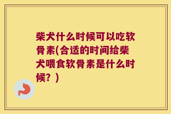 柴犬什么时候可以吃软骨素(合适的时间给柴犬喂食软骨素是什么时候？)