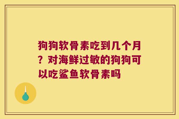 狗狗软骨素吃到几个月?对海鲜的狗狗可以吃鲨鱼软骨素吗 狗狗软骨素吃到几个月?对海鲜的狗狗可以吃鲨鱼软骨素吗