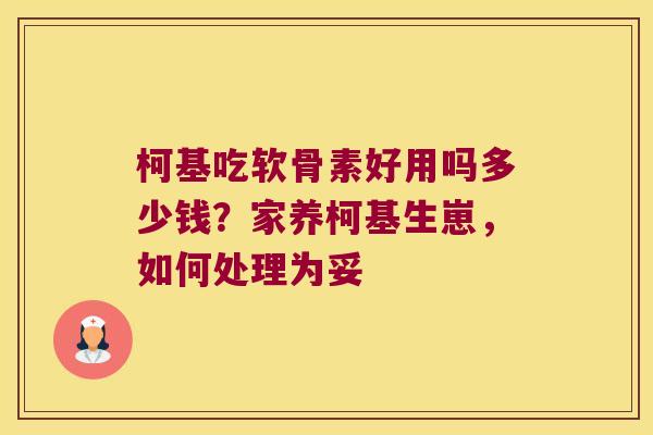 柯基吃软骨素好用吗多少钱?家养柯基生崽,如何处理为妥 柯基吃软骨素好用吗多少钱?家养柯基生崽,如何处理为妥