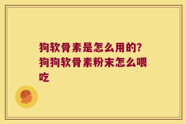 狗软骨素是怎么用的？狗狗软骨素粉末怎么喂吃