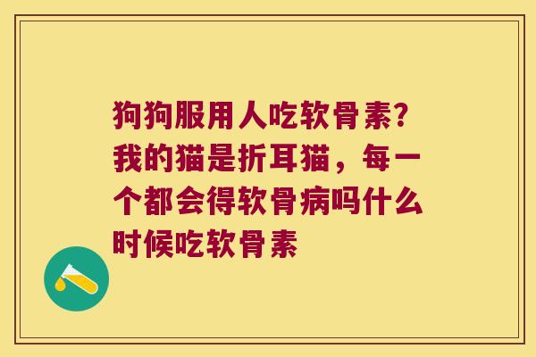 狗狗服用人吃软骨素？我的猫是折耳猫，每一个都会得软骨吗什么时候吃软骨素