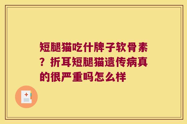 短腿猫吃什牌子软骨素?折耳短腿猫遗传真的很严重吗怎么样 短腿猫吃什牌子软骨素?折耳短腿猫遗传真的很严重吗怎么样