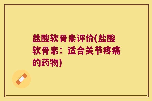 盐酸软骨素评价(盐酸软骨素：适合关节的)