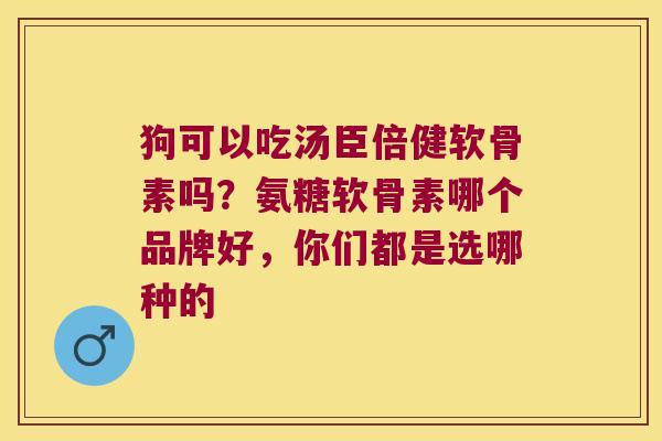 狗可以吃汤臣倍健软骨素吗？氨糖软骨素哪个品牌好，你们都是选哪种的