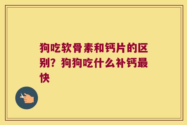 狗吃软骨素和钙片的区别？狗狗吃什么补钙快