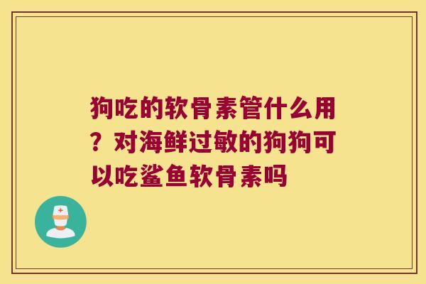 狗吃的软骨素管什么用？对海鲜的狗狗可以吃鲨鱼软骨素吗