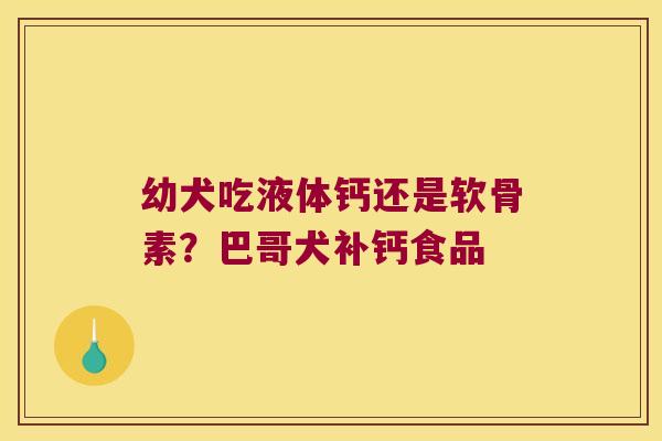 幼犬吃液体钙还是软骨素?巴哥犬补钙食品 幼犬吃液体钙还是软骨素?巴哥犬补钙食品