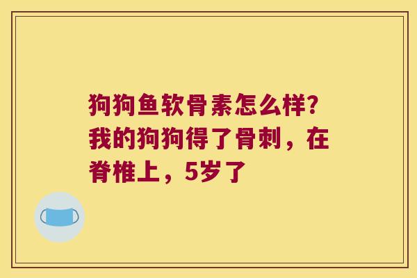 狗狗鱼软骨素怎么样？我的狗狗得了，在脊椎上，5岁了