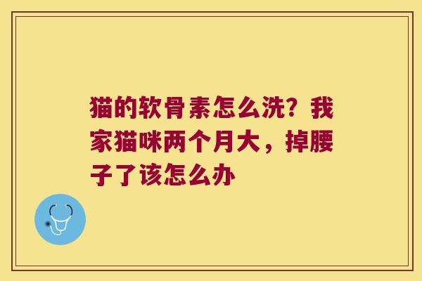 猫的软骨素怎么洗?我家猫咪两个月大,掉腰子了该怎么办 猫的软骨素怎么洗?我家猫咪两个月大,掉腰子了该怎么办