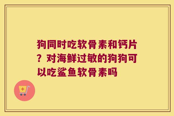 狗同时吃软骨素和钙片?对海鲜的狗狗可以吃鲨鱼软骨素吗 狗同时吃软骨素和钙片?对海鲜的狗狗可以吃鲨鱼软骨素吗