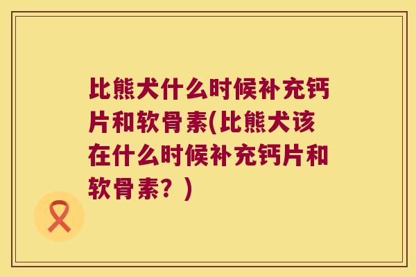 比熊犬什么时候补充钙片和软骨素(比熊犬该在什么时候补充钙片和软骨素？)