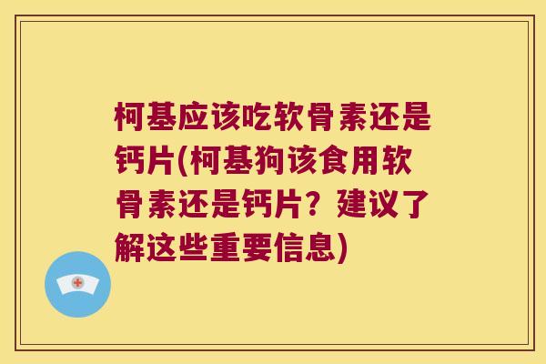 柯基应该吃软骨素还是钙片(柯基狗该食用软骨素还是钙片？建议了解这些重要信息)