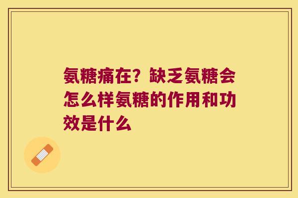 氨糖痛在？缺乏氨糖会怎么样氨糖的作用和功效是什么