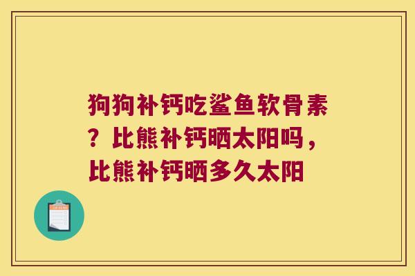 狗狗补钙吃鲨鱼软骨素?比熊补钙晒太阳吗,比熊补钙晒多久太阳 狗狗补钙吃鲨鱼软骨素?比熊补钙晒太阳吗,比熊补钙晒多久太阳