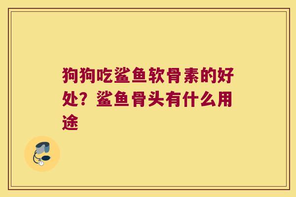 狗狗吃鲨鱼软骨素的好处？鲨鱼骨头有什么用途