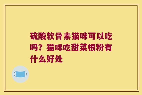 硫酸软骨素猫咪可以吃吗？猫咪吃甜菜根粉有什么好处
