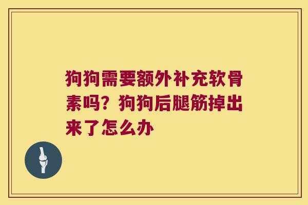 狗狗需要额外补充软骨素吗?狗狗后腿筋掉出来了怎么办 狗狗需要额外补充软骨素吗?狗狗后腿筋掉出来了怎么办