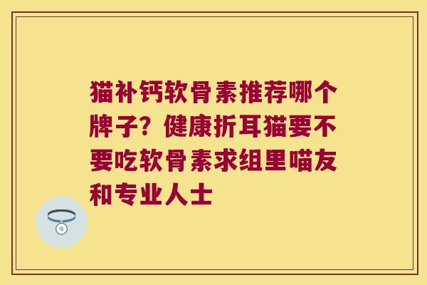 猫补钙软骨素推荐哪个牌子？健康折耳猫要不要吃软骨素求组里喵友和专业人士