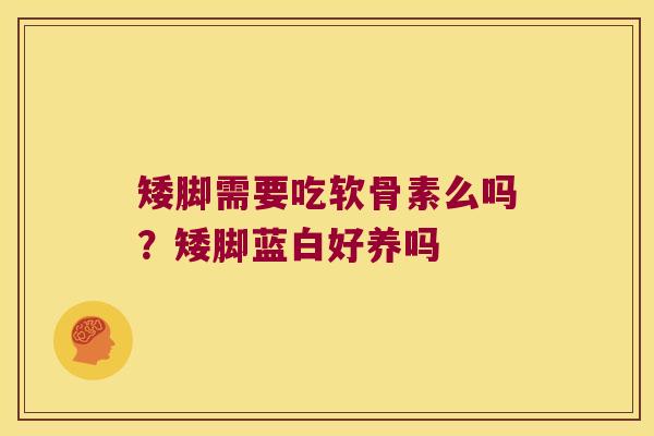 矮脚需要吃软骨素么吗？矮脚蓝白好养吗