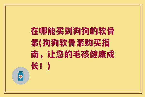 在哪能买到狗狗的软骨素(狗狗软骨素购买指南，让您的毛孩健康成长！)