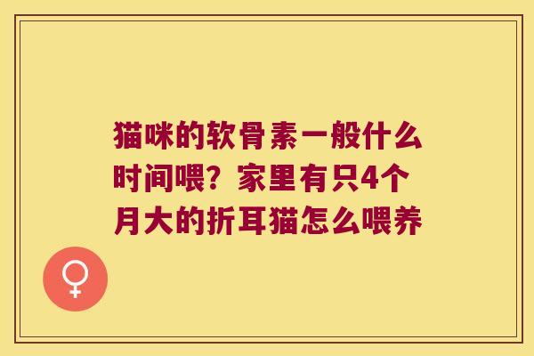 猫咪的软骨素一般什么时间喂？家里有只4个月大的折耳猫怎么喂养