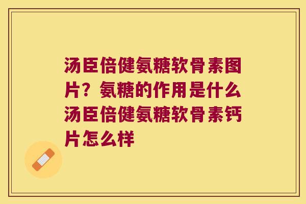 汤臣倍健氨糖软骨素图片？氨糖的作用是什么汤臣倍健氨糖软骨素钙片怎么样