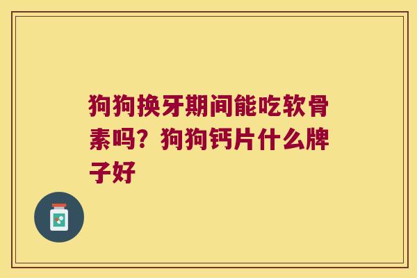狗狗换牙期间能吃软骨素吗?狗狗钙片什么牌子好 狗狗换牙期间能吃软骨素吗?狗狗钙片什么牌子好
