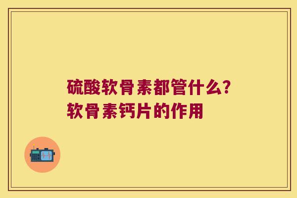 硫酸软骨素都管什么？软骨素钙片的作用