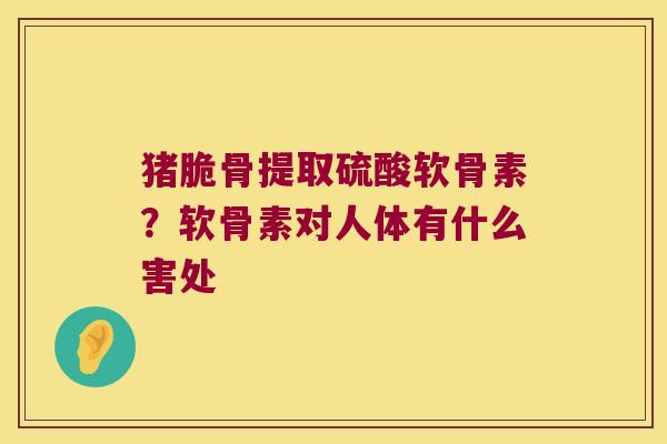 猪脆骨提取硫酸软骨素?软骨素对人体有什么害处 猪脆骨提取硫酸软骨素?软骨素对人体有什么害处