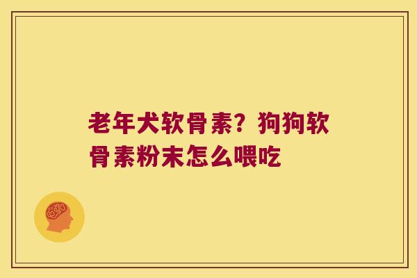 老年犬软骨素?狗狗软骨素粉末怎么喂吃 老年犬软骨素?狗狗软骨素粉末怎么喂吃