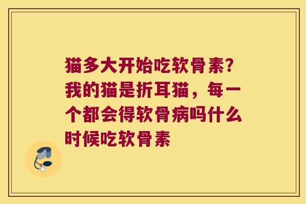 猫多大开始吃软骨素？我的猫是折耳猫，每一个都会得软骨吗什么时候吃软骨素